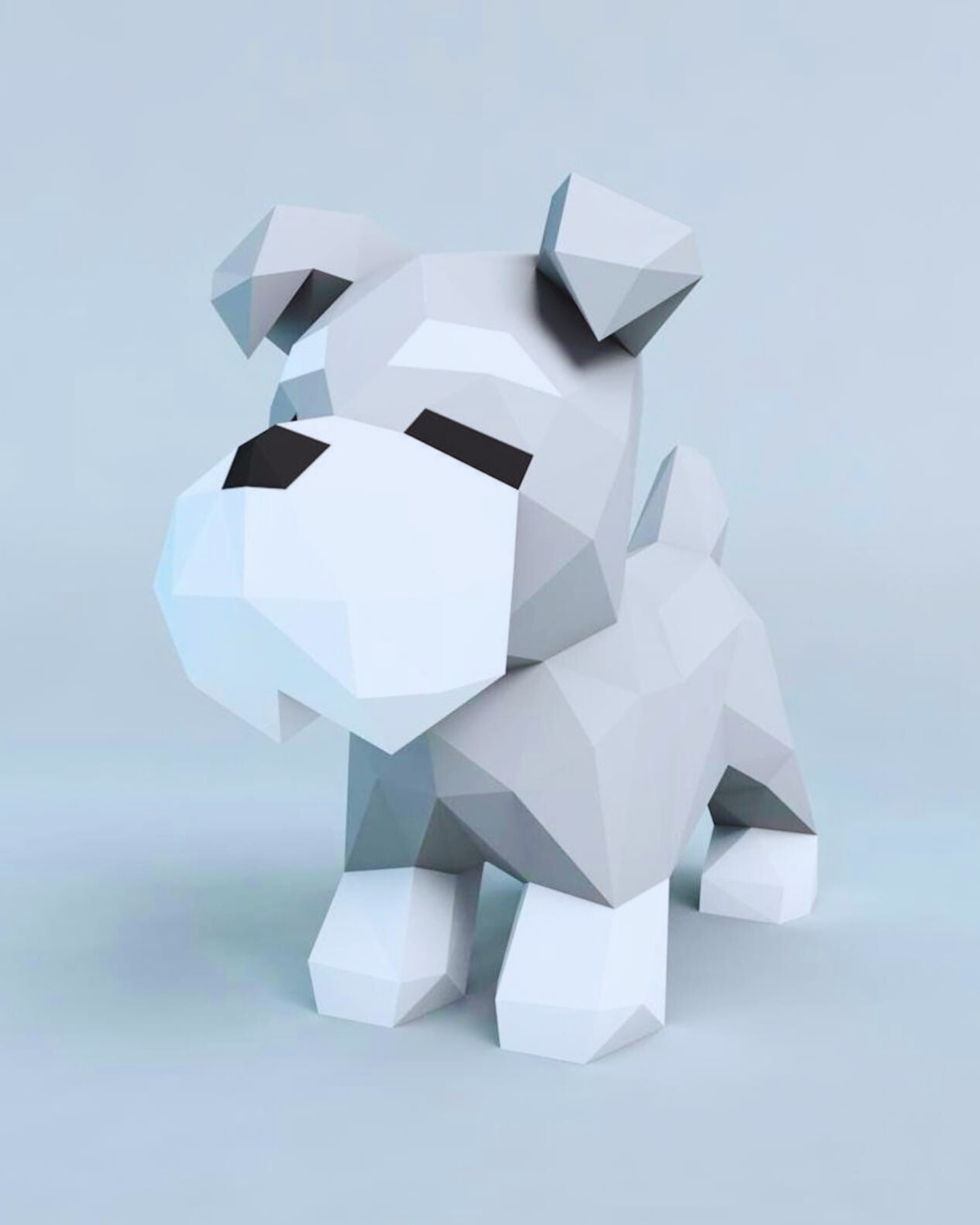 Schnauzer Cute