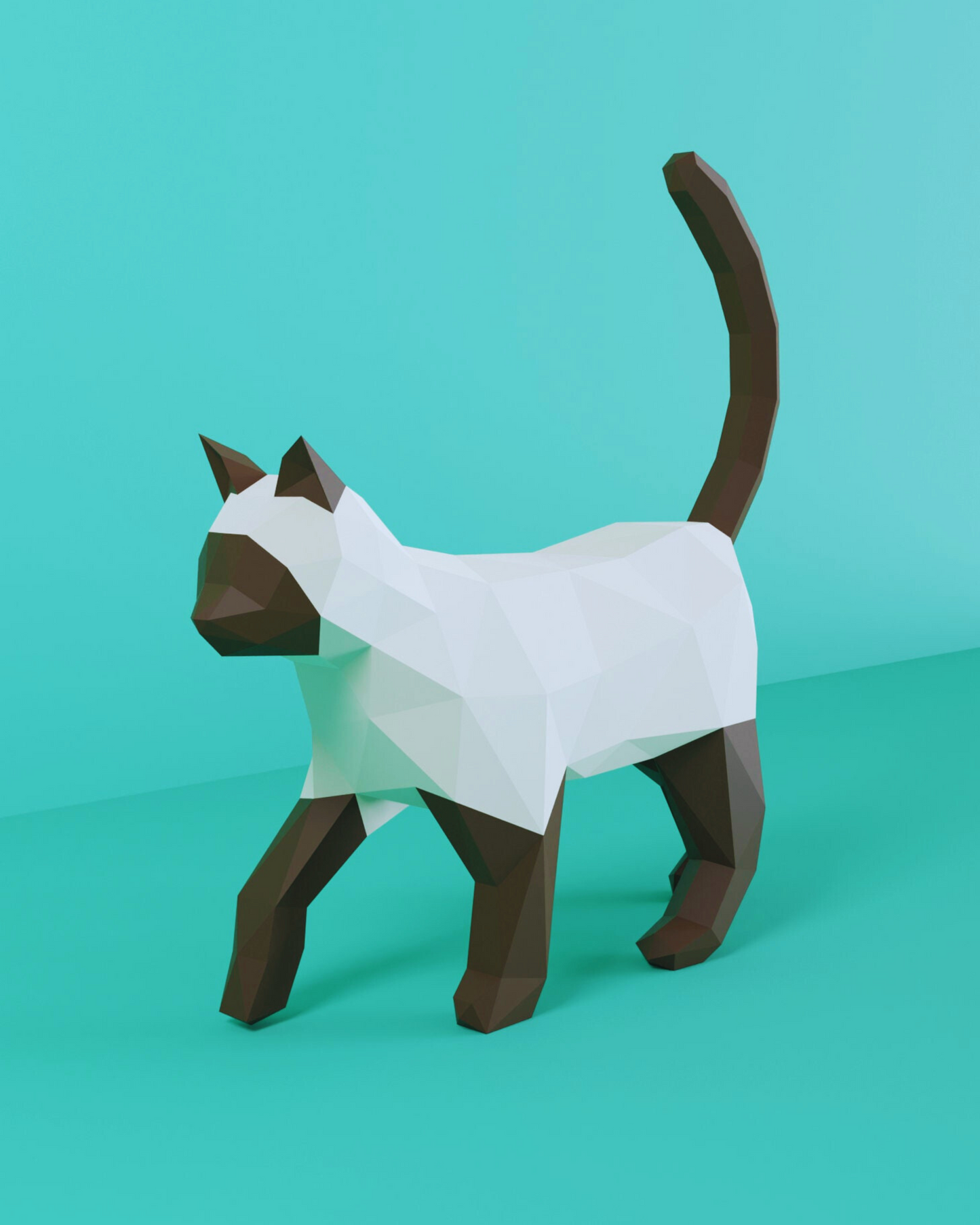 Gato Siamés