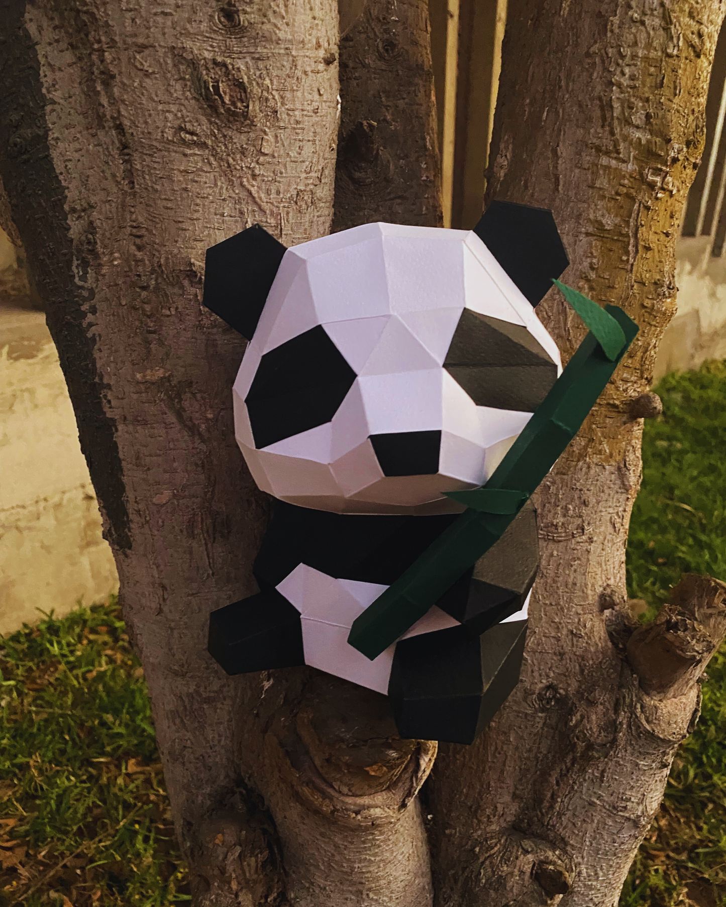 Oso Panda Bambú