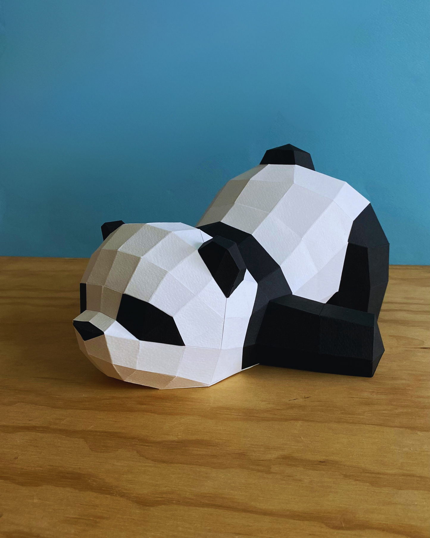Panda Dormido