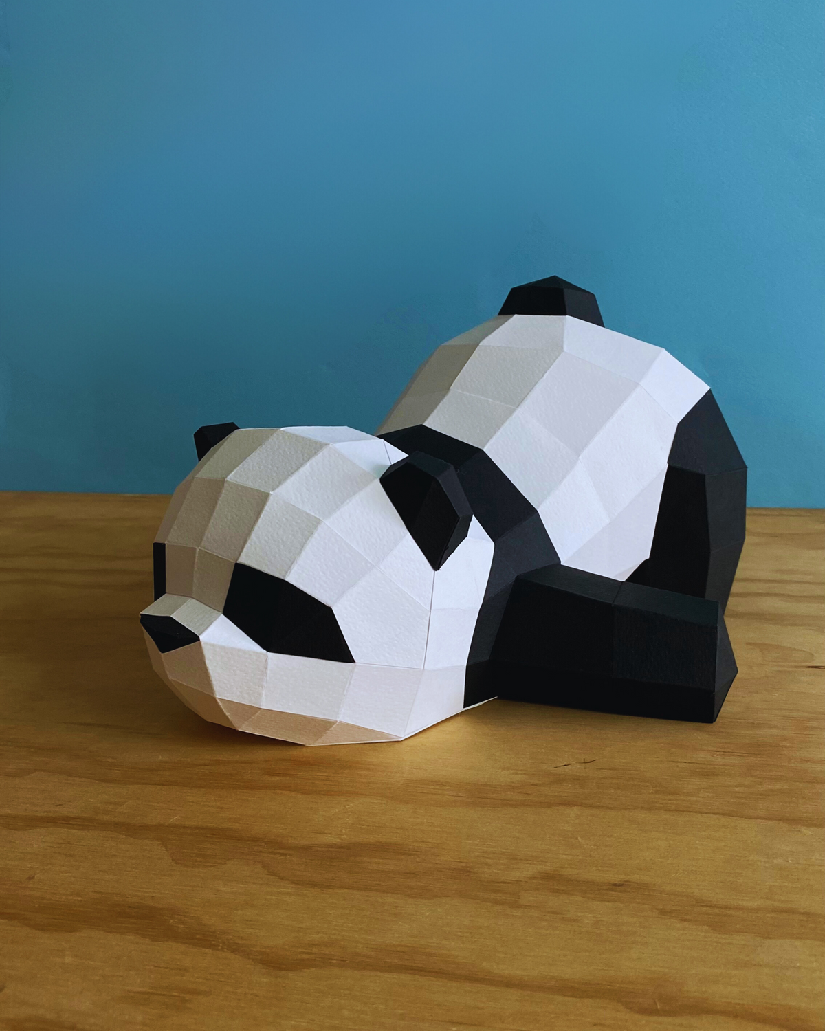 Panda Dormido