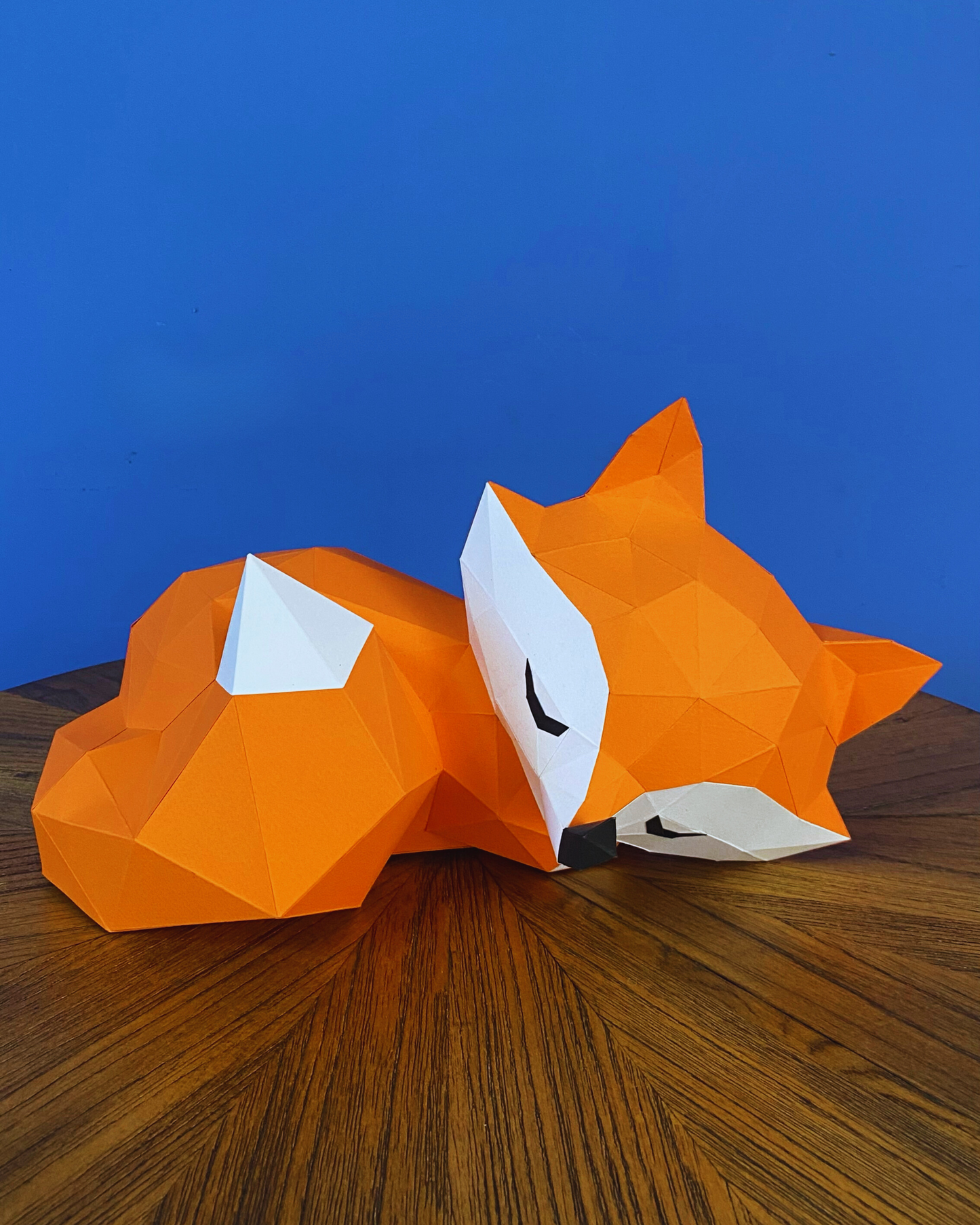 Zorrito Durmiendo