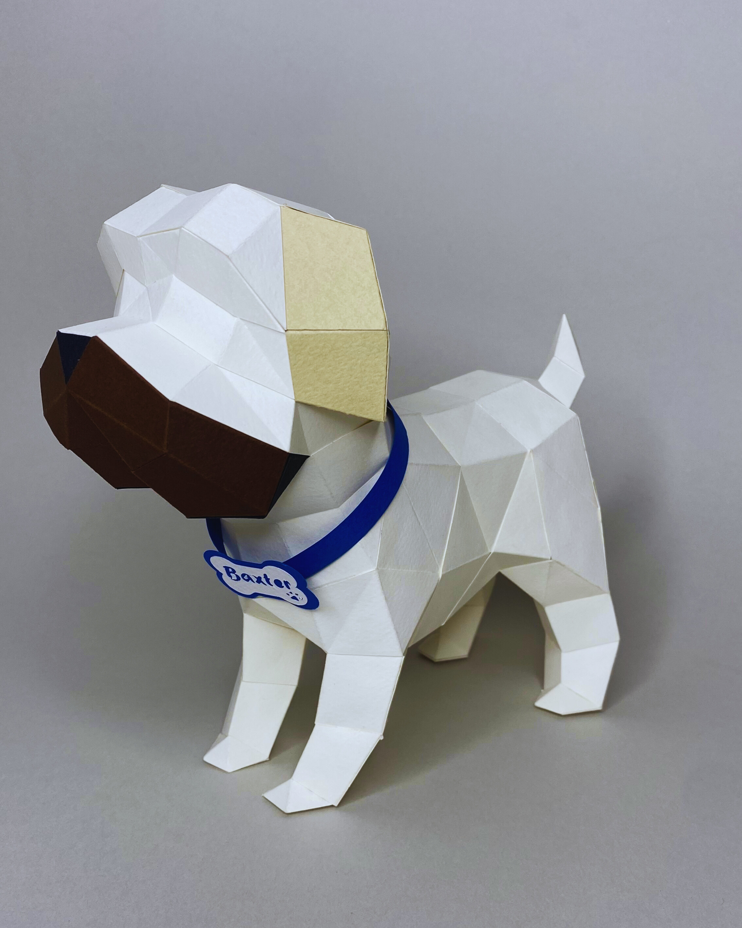 Shih Tzu Minimalista