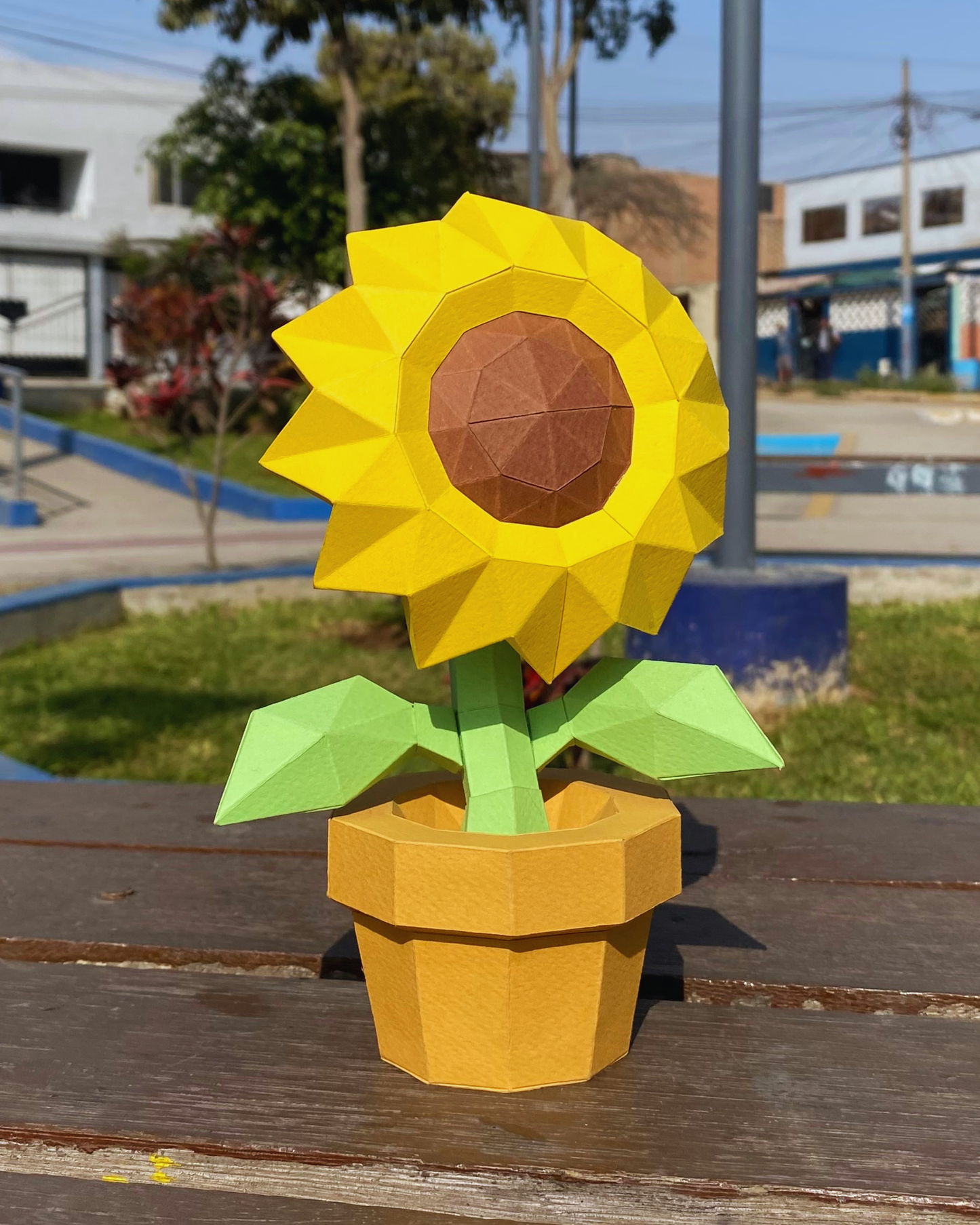 Girasol