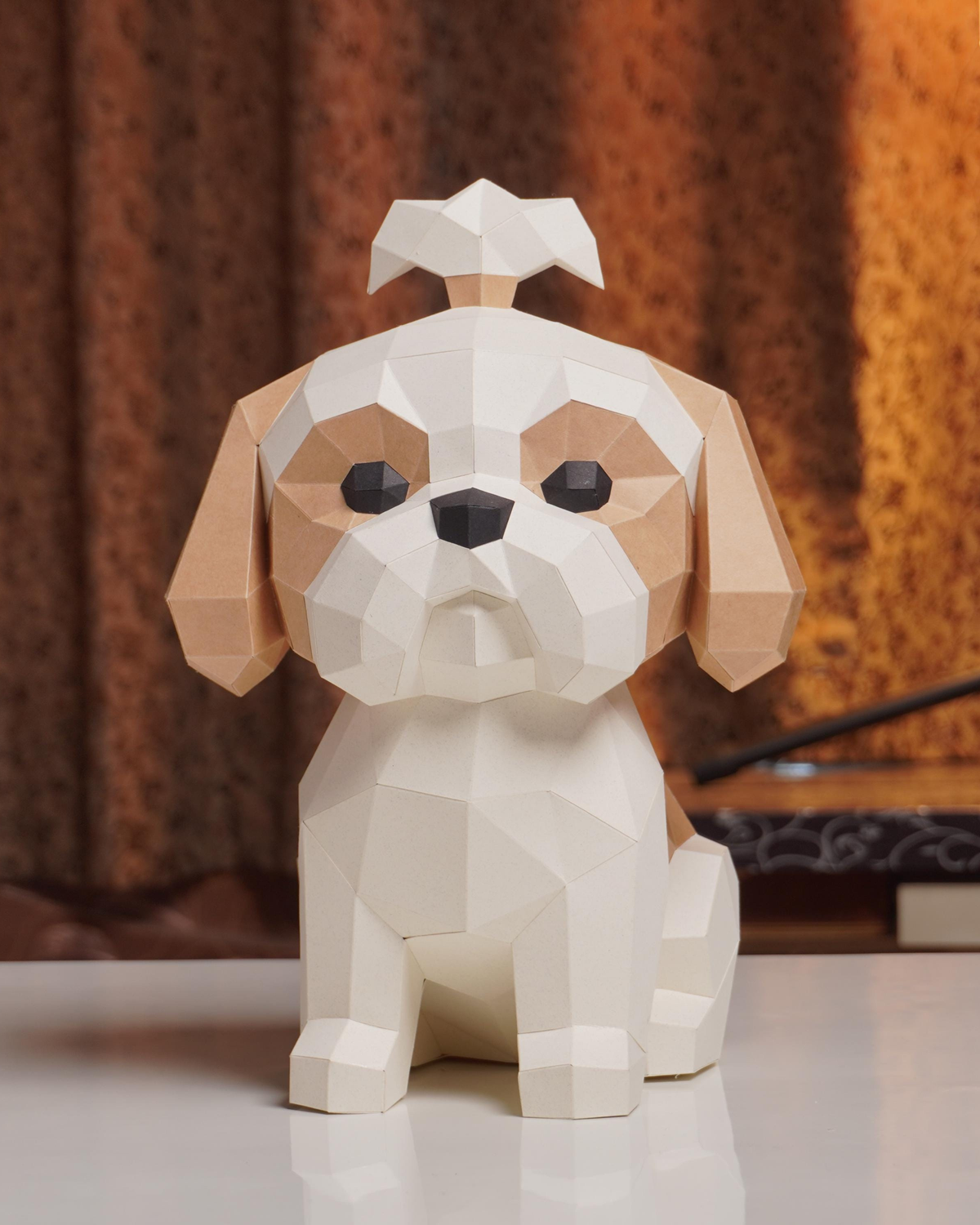 Shih Tzu Cute